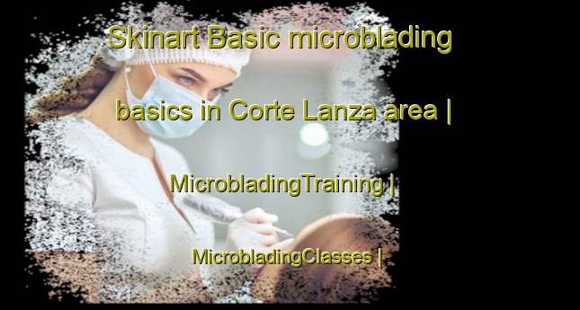 Skinart Basic microblading basics in Corte Lanza area | MicrobladingTraining | MicrobladingClasses | SkinartTraining-Italy